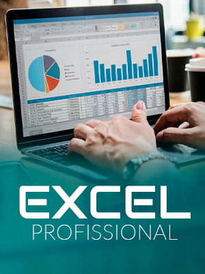 Excel Profissional